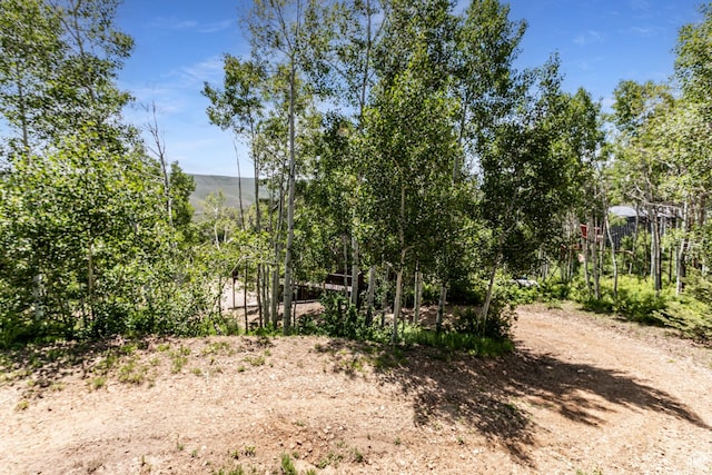 1922 N Corral Rd Unit 10, Scofield, UT 84526 - view of yard