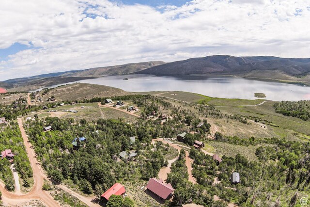 1922 N Corral Rd Unit 10, Scofield, UT 84526 - drone / aerial view of a water and mountain view