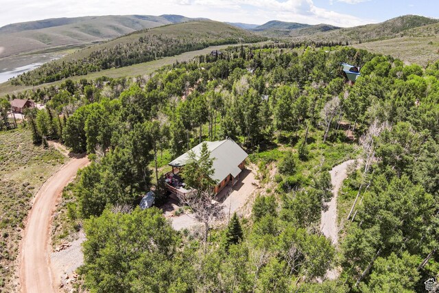 1922 N Corral Rd Unit 10, Scofield, UT 84526 - aerial view of a mountain backdrop and a heavily wooded area