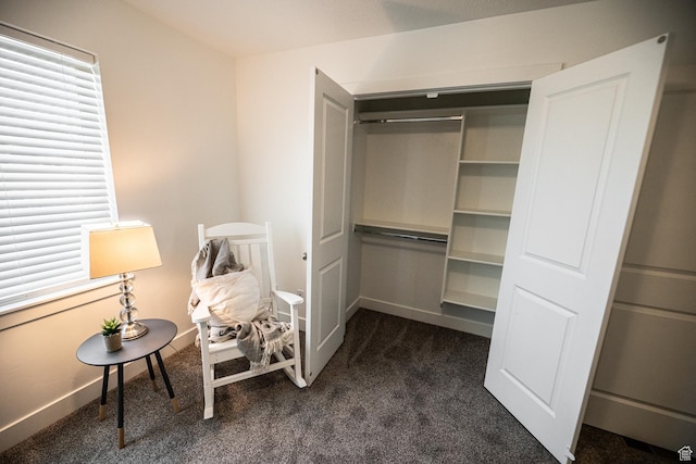 213 E 535 N Unit 30, Richmond, UT 84333 - view of closet