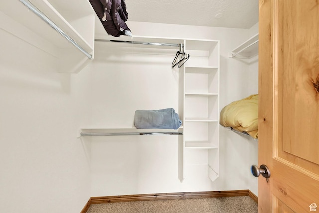 5176 E Fairview Loop Unit C505, Eden, UT 84310 - view of spacious closet