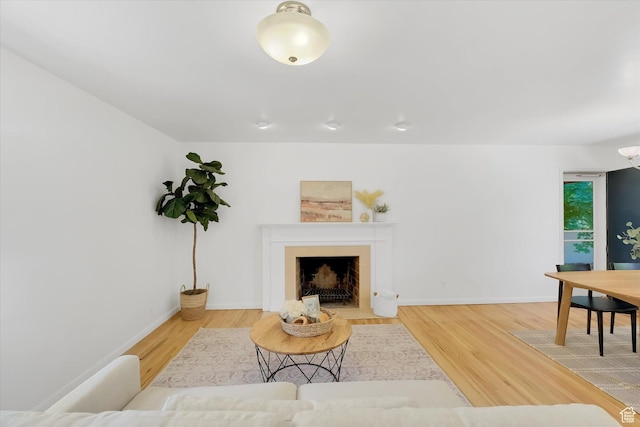 871 N 400 E, Logan, UT 84321 - living area featuring light wood finished floors and a fireplace with flush hearth