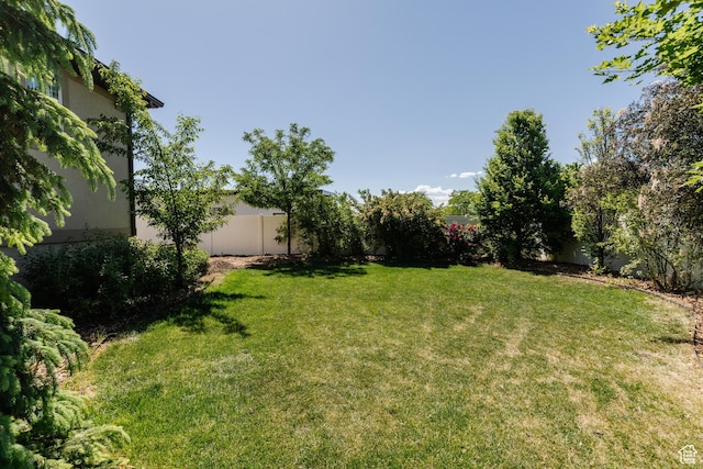 981 E Pebble Creek Rd, Smithfield, UT 84335 - view of fenced backyard
