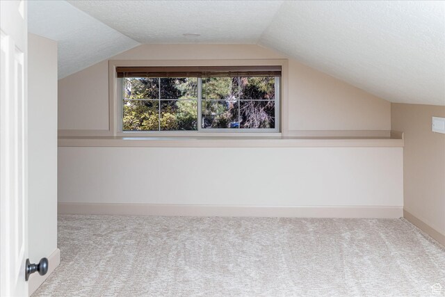 210 S 100 E, Fielding, UT 84311 - bonus room with carpet, lofted ceiling, and a textured ceiling