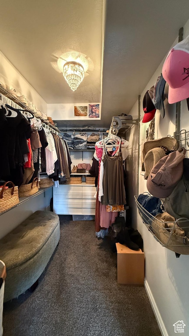 1205 E Privet Dr S Unit 101, Cottonwood Heights, UT 84121 - walk in closet featuring carpet floors