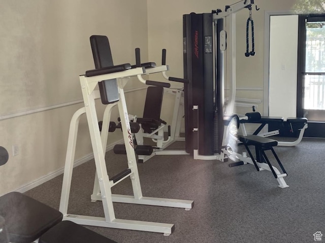 1205 E Privet Dr S Unit 101, Cottonwood Heights, UT 84121 - view of exercise area
