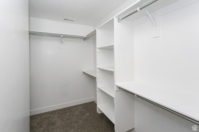 5001 W Anegada Ln S, Herriman, UT 84096 - spacious closet featuring dark carpet