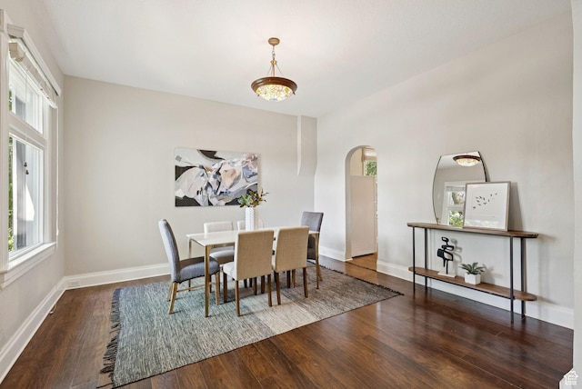 921 E 800 S, Salt Lake City, UT 84102 - dining room featuring healthy amount of natural light, wood finished floors, and arched walkways