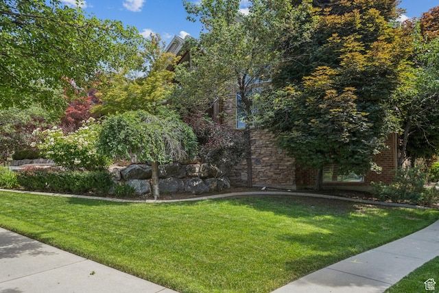 1652 E Red Tree Ct S, Draper, UT 84020 - surrounding community featuring a yard