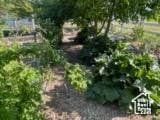 395 E Center St, Spring City, UT 84662 - view of yard with a vegetable garden