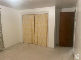 395 E Center St, Spring City, UT 84662 - unfurnished bedroom with carpet and a closet