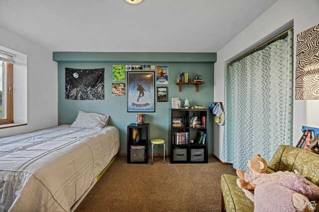 2356 W 5230 N, Benson, UT 84335 - photo 32