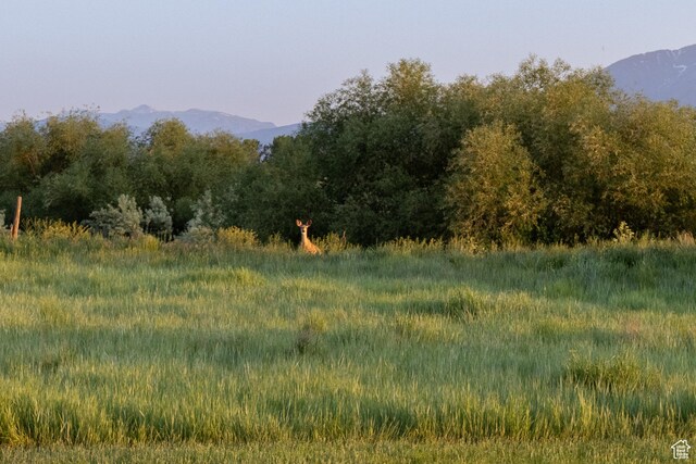 2356 W 5230 N, Benson, UT 84335 - photo 55