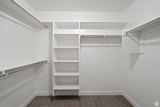 15040 S Wild Horse Way, Bluffdale, UT 84065 - spacious closet featuring carpet flooring