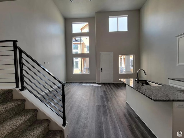 15040 S Wild Horse Way, Bluffdale, UT 84065 - entrance foyer with a high ceiling, stairway, and dark wood-style flooring