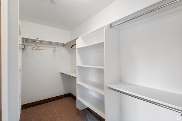 1076 W Abigail Dr, Kamas, UT 84036 - walk in closet featuring dark carpet