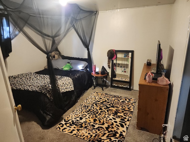 1105 9th St, Ogden, UT 84404 - bedroom featuring carpet