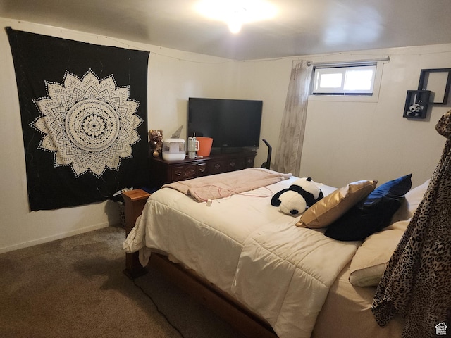 1105 9th St, Ogden, UT 84404 - bedroom featuring carpet