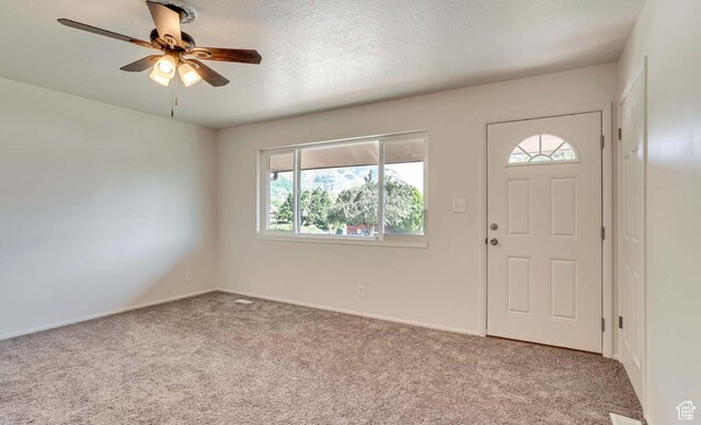 684 E 2700 N, North Ogden, UT 84414 - photo 10