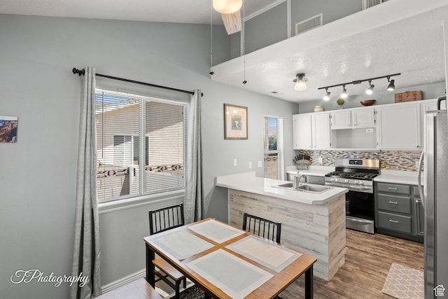 1161 S 860 W, Cedar City, UT 84720 - kitchen featuring stainless steel appliances, a peninsula, tasteful backsplash, wood finished floors, and healthy amount of natural light