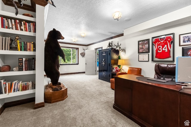 1254 W 475 S, Farmington, UT 84025 - home office with carpet flooring, a textured ceiling, and ornamental molding
