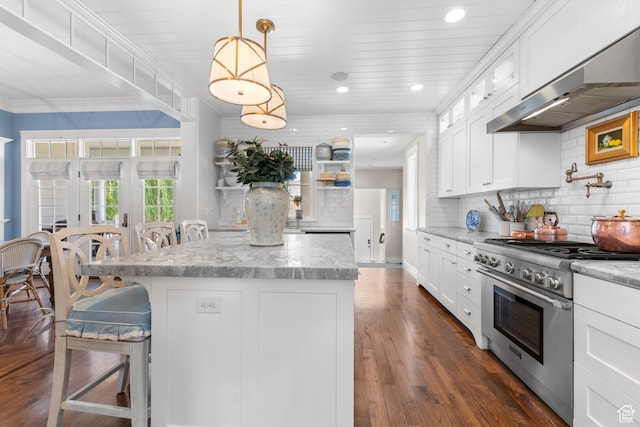 1254 W 475 S, Farmington, UT 84025 - kitchen with high end stove, ventilation hood, healthy amount of natural light, tasteful backsplash, and recessed lighting