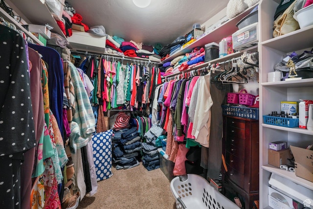 3116 W Hayden Ridge Way, Riverton, UT 84065 - walk in closet featuring carpet