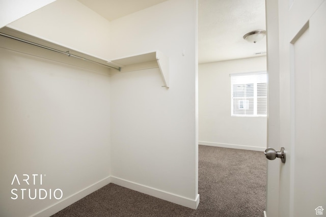43 E 670 N, Vineyard, UT 84059 - spacious closet featuring dark carpet