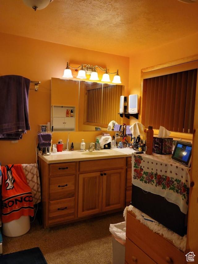 97 Main St, Ophir, UT 84071 - bathroom with vanity and a textured ceiling
