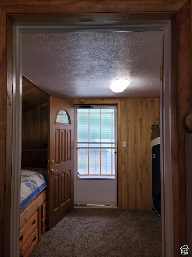 97 Main St, Ophir, UT 84071 - unfurnished bedroom with a textured ceiling, dark carpet, and wood walls