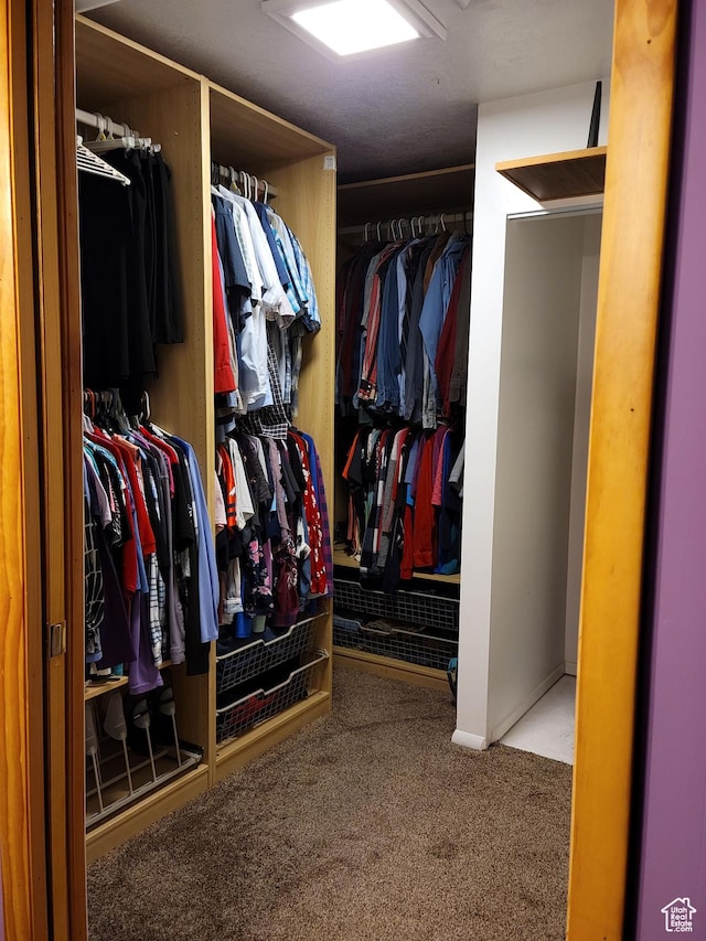 97 Main St, Ophir, UT 84071 - walk in closet with carpet