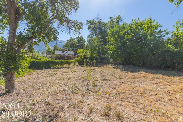 3317 Jackson Ave, Ogden, UT 84403 - view of yard