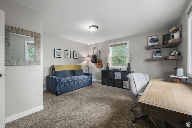 578 S 750 E, Bountiful, UT 84010 - office space with carpet flooring and baseboards
