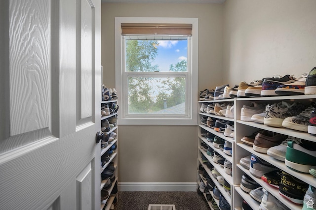578 S 750 E, Bountiful, UT 84010 - wine cellar featuring healthy amount of natural light and carpet floors