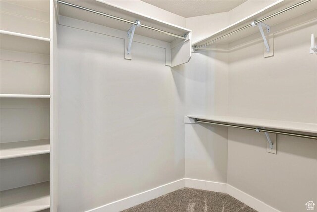 16384 S Piston Ln W, Bluffdale, UT 84065 - photo 30