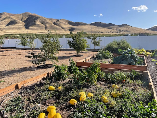 70 W 1790 N, Genola, UT 84655 - view of mountain background