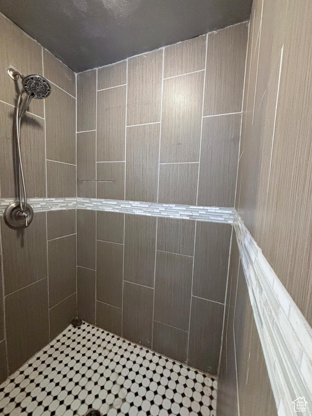 289 W Count Fleet Rd, St George, UT 84790 - full bath with a tile shower