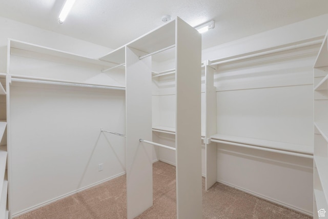 335 W 1410 S, Orem, UT 84058 - walk in closet featuring carpet