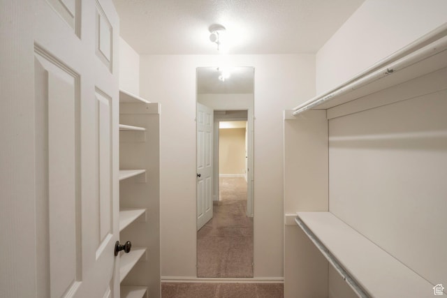 335 W 1410 S, Orem, UT 84058 - spacious closet with carpet flooring