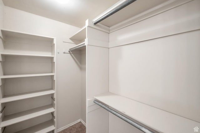 335 W 1410 S, Orem, UT 84058 - spacious closet featuring carpet flooring