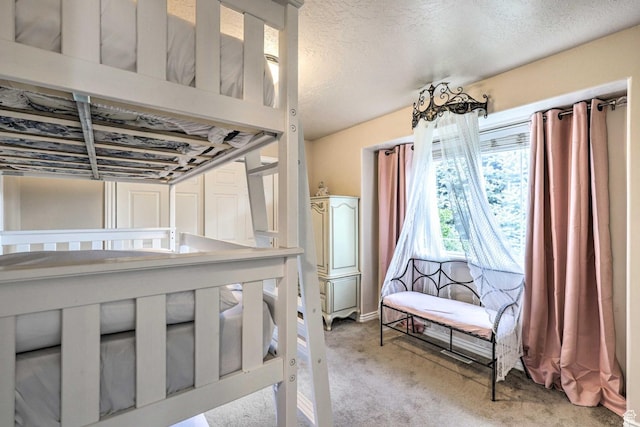 3572 Wild Mare Way, Heber City, UT 84032 - bedroom with carpet and a textured ceiling