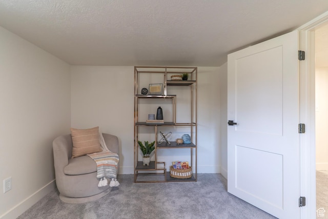 170 S 1300 E, Springville, UT 84663 - sitting room featuring carpet and a textured ceiling