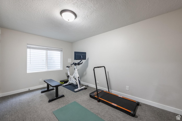 1476 W Stone Gate Dr, Saratoga Springs, UT 84045 - workout area featuring a textured ceiling and carpet flooring