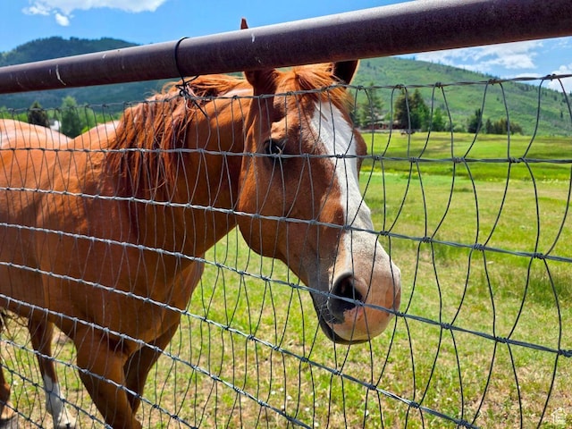2570 Aspen Springs Dr, Park City, UT 84060 - horse barn featuring a mountain view