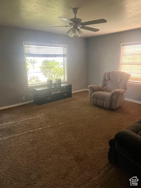 210 W 100 S, Centerfield, UT 84622 - sitting room with a ceiling fan, healthy amount of natural light, carpet, and a textured ceiling