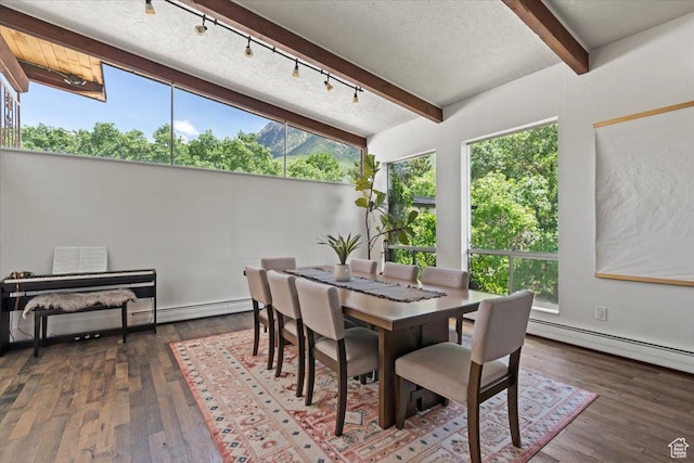 4560 S Wallace Ln, Holladay, UT 84117 - sunroom / solarium featuring track lighting and a baseboard heating unit
