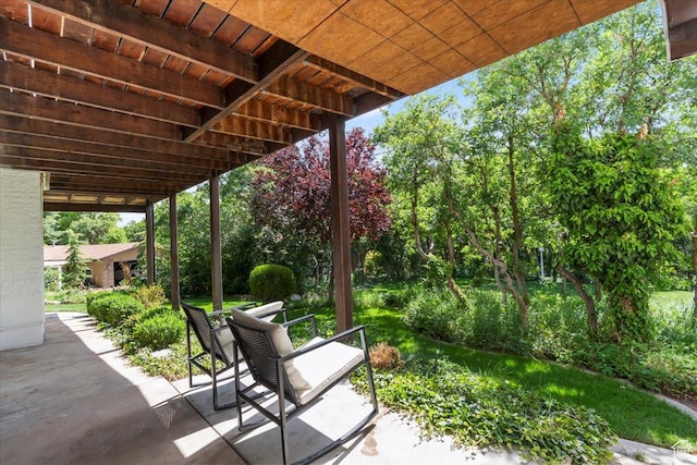 4560 S Wallace Ln, Holladay, UT 84117 - view of patio