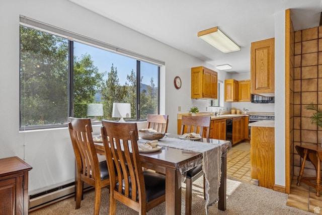 34 Valley View Dr, Springdale, UT 84767 - dining area with a baseboard heating unit