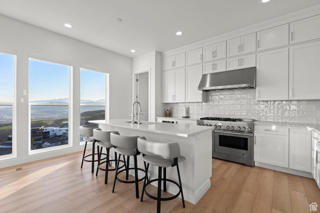 4473 N Solstice Dr, Lehi, UT 84043 - kitchen with high end range, under cabinet range hood, light wood-style floors, a kitchen island with sink, and recessed lighting
