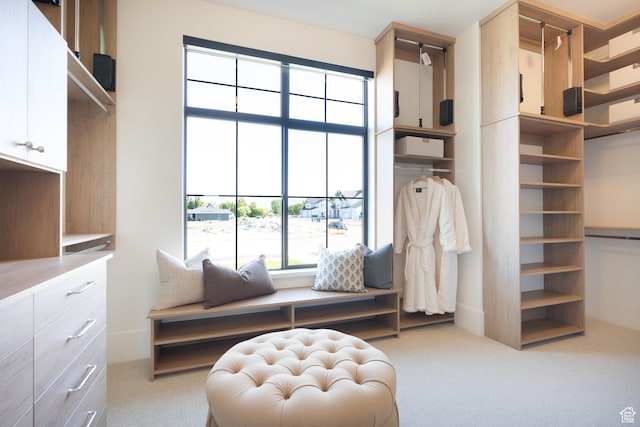 1889 W 1400 S, Lehi, UT 84043 - walk in closet with carpet floors
